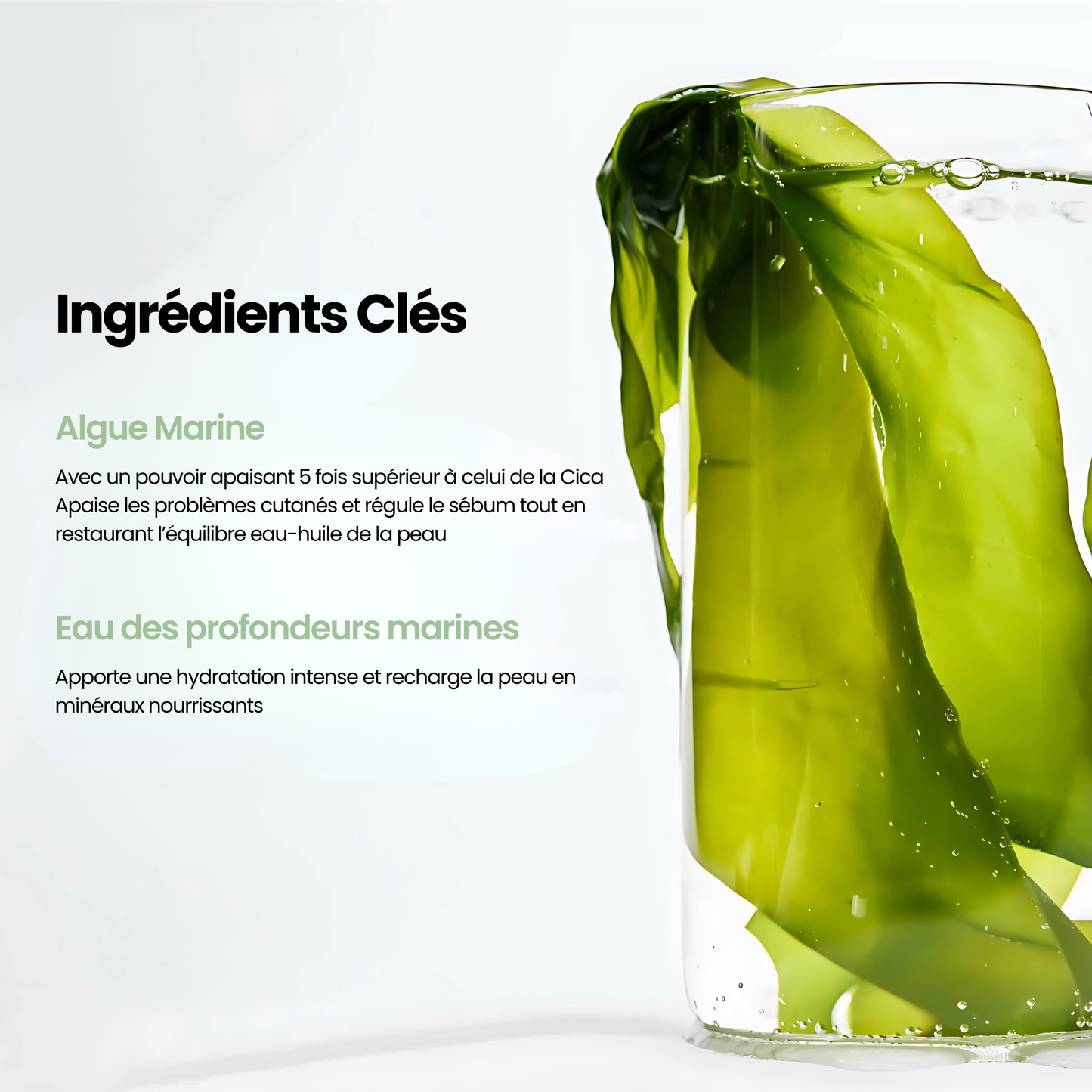 Masque aux Algues Marines : Purifiant & Anti-Imperfections