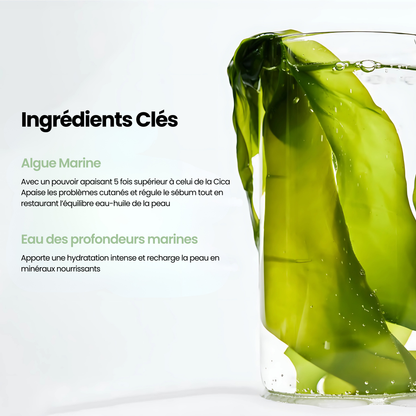 Masque aux Algues Marines : Purifiant & Anti-Imperfections